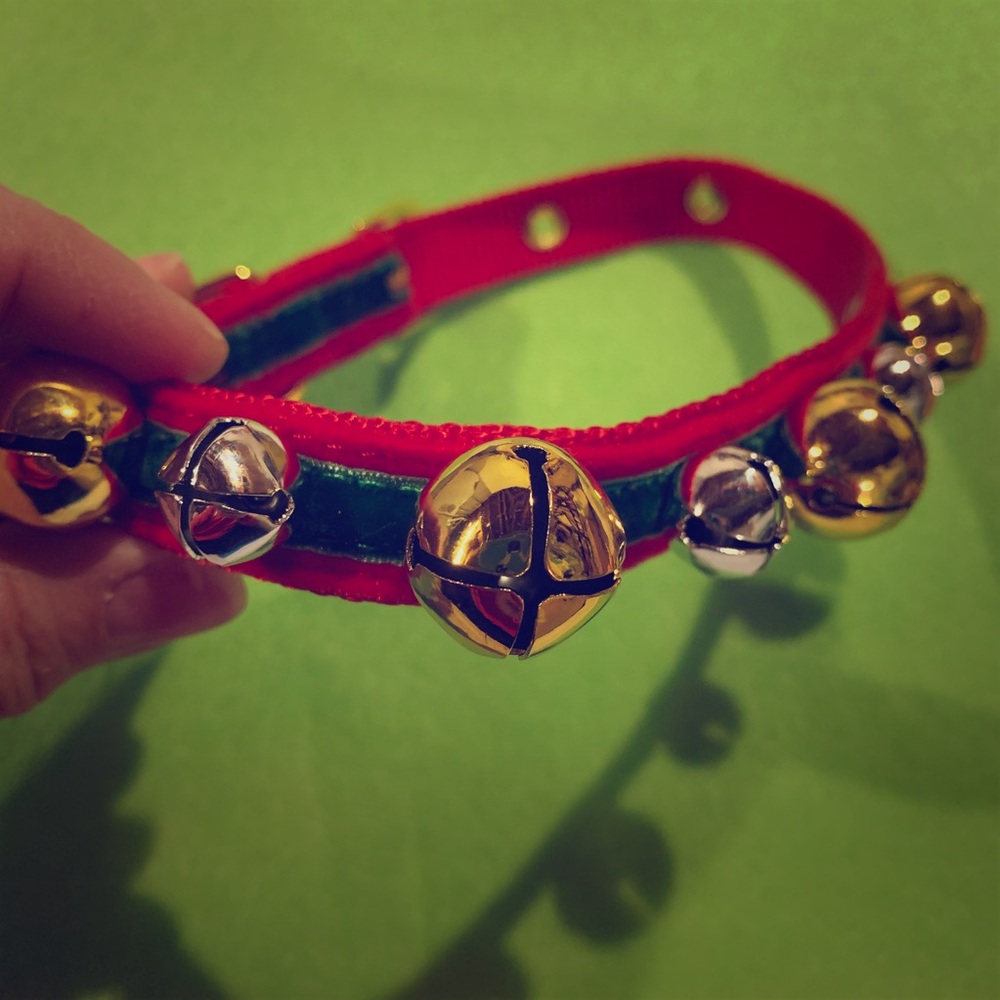 Jingle Bell Dog Collar